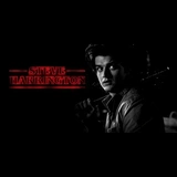 steve harrington @nerd_hunter