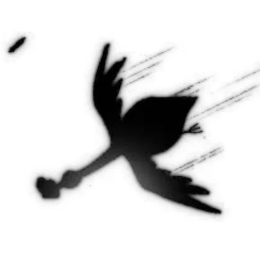 silhouette, ombre de cigogne, profil de cigogne, profil d'oiseau, oiseau de grue