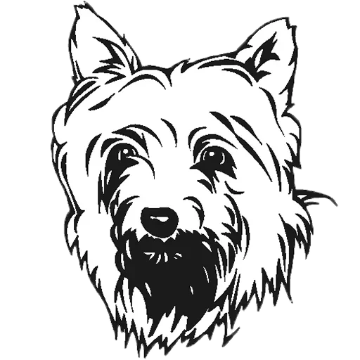 west highland, terrier drawing, stencils of the dog terrier, white terrier west heyland, yorkshire terrier burning