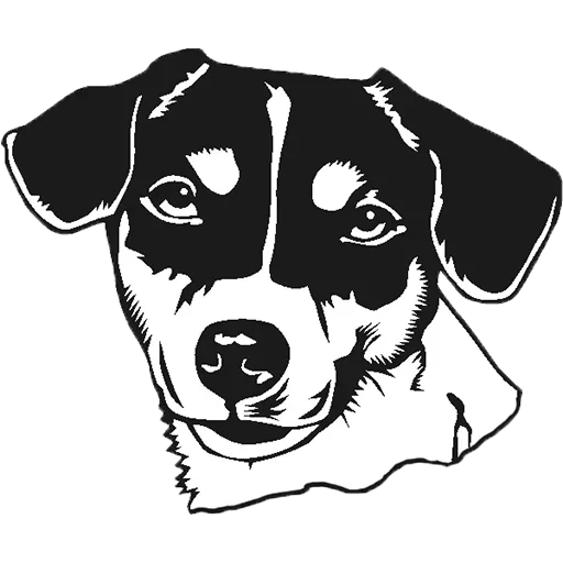 jack russell, terrier jack russell, jack russell terrier vector, dog stickers are black white, dog stencil jack russell terrier