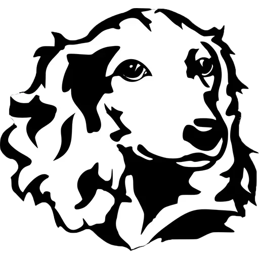 cocker spaniel, dog of a stencil, setter sticker, coker spaniel vector, golden retriever vector black white