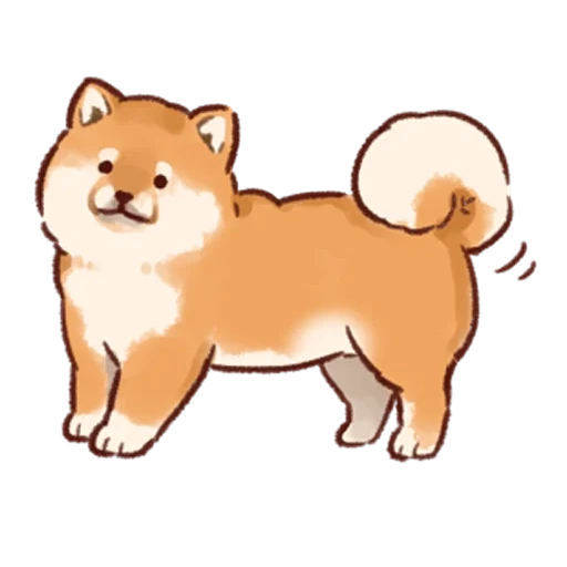 shiba inu, akita inu, shiba inu, akita shiba inu, shibas hund