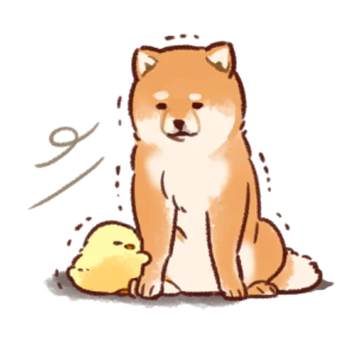 siba inu, siba est mignon, kawaii akita inu, de beaux dessins pour chiens, siba inu dessin mignon