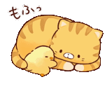 cat, fox and hugs, cute drawings, kawaii animals, soft and cute chick