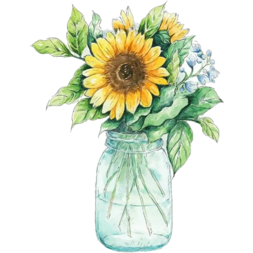 fiori, foto dei fiori, vaso di girasole, bouquet di girasole, girasole vaza con acquerelli