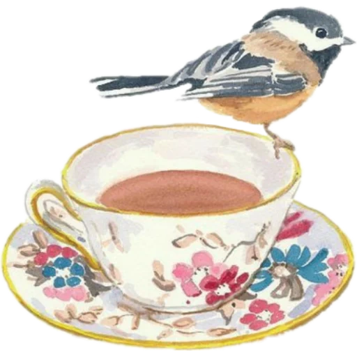 oiseau, oiseau de thé, remorquage des oiseaux, oiseau une tasse de thé, une tasse d'oiseau d'aquarelle