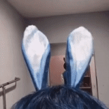 ears of bunny, hare ears, bunny ears, rabbit ears, bunneck's ears