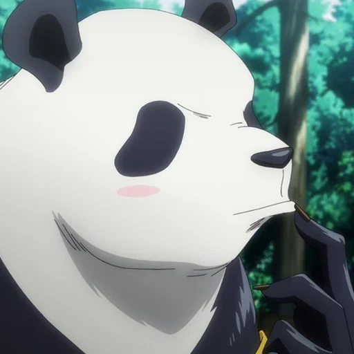 jujutsu, panda crisântemo, jujutsu kaisen, crisântemo kaisen panda, panda de anime de guerra mágica