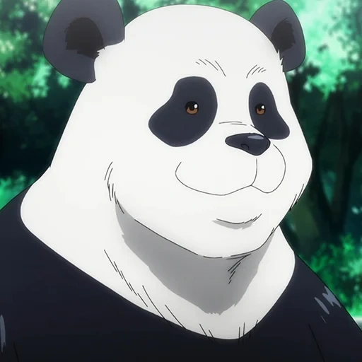 kaisen, menino, jujutsu, crisântemo kaisen panda
