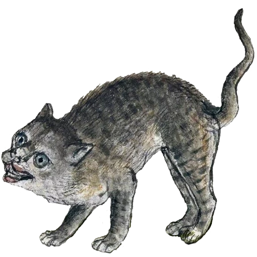 der kater, mittelalterliche katzen, sabbel zeilige katzendinicstis, lustige katzen des mittelalters, mittelalterlich bestiary drei katzen