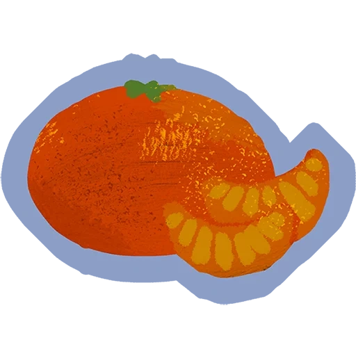 atribut, jeruk oranye