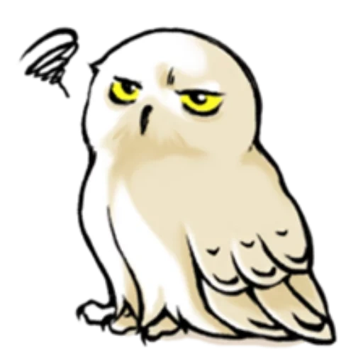 owl harry potter, harry potter bukla, harry potter bukla art, bukla harry potter dibujo, dibujo de hedwig harry potter