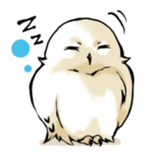owl, chouette mignonne, chouette blanche, charmant animal, petite chouette