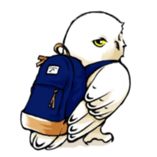 harry the owl, harry potter buclay, harry potter's owl, harry potter booker owl, harry potter's hedwig owl
