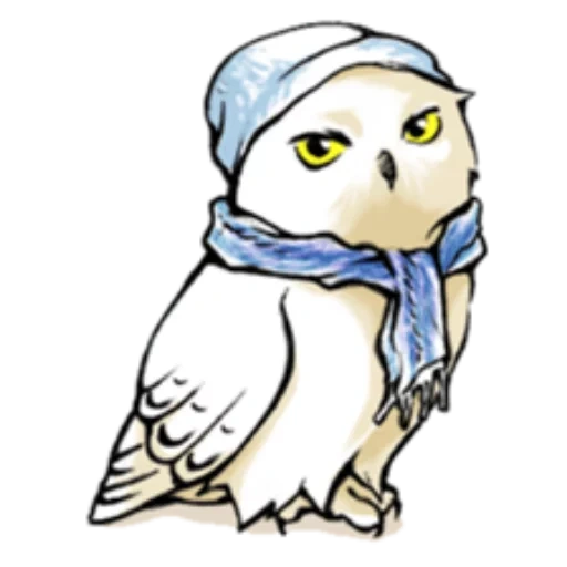 harry potter owl, bukla harry potter, bukla harry potter disegno, bukla harry potter disegno, disegno di hedwig harry potter