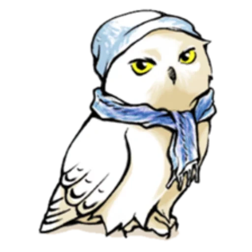 harry potter owl, bukla harry potter, bukla harry potter menggambar, bukla harry potter menggambar, gambar hedwig harry potter