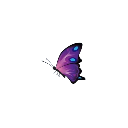 синяя бабочка, голубая бабочка, бабочка бабочка, сиреневые бабочки, бабочка фиолетовая