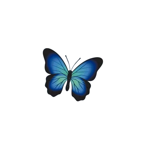 бабочка, бабочка синяя, голубая бабочка, бабочка улисс рисунок, голубая бабочка символ чего