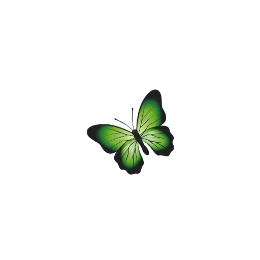 бабочка, бабочка бабочка, зеленая бабочка, зелёная бабочка арт, желто зеленая бабочка