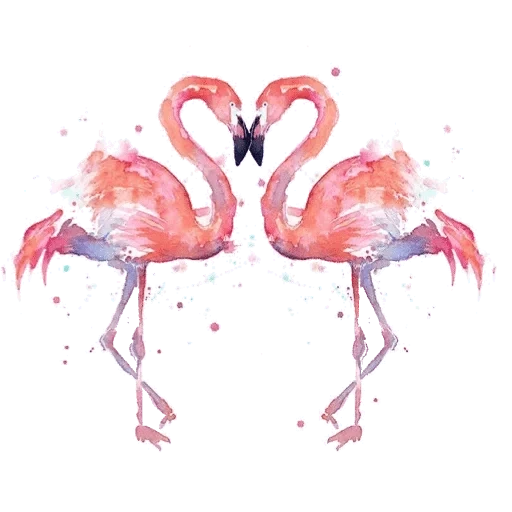 фламинго двое, фламинго принт акварель, фламинго акварель вектор, розовый фламинго акварель, любовь фламинго акварелью