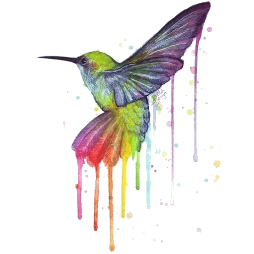 колибри птица, эффект колибри, рисунок колибри, детский рисунок колибри, рисунок колибри срисовки