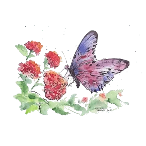цветок бабочка, бабочка картина, красная бабочка, акварель бабочка, акварель бабочка клевере