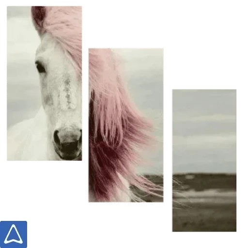лошадь, грива лошади, красивые лошади, лошади красивые розовые, фотографии лошадей красивые