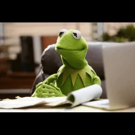 kermit, kermite, pertunjukan mappet, kermit meme, katak cermit