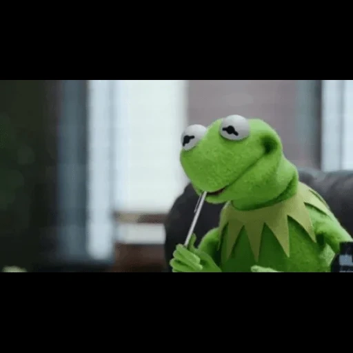 kermit, kermit, spettacolo di muppet, la rana di kermit, kermit la rana