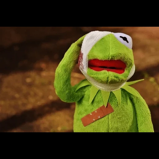 kermit, kimit, rendimiento de la muñeca de tela, rana de rama, rana comte