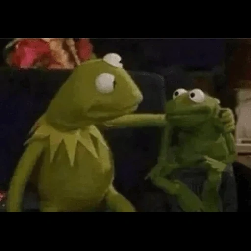 kermit, frog meme, muppet show, pamagiti kiorte, comet the frog