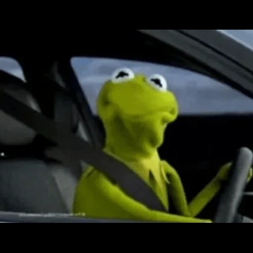 kermit, kermit, muppet show, muppet kermit, comet the frog