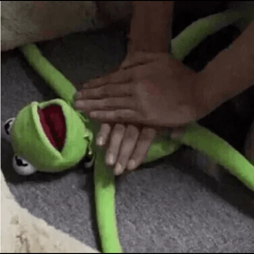 kermit, kimit, rendimiento de la muñeca de tela, rana comte, rana cormite meme