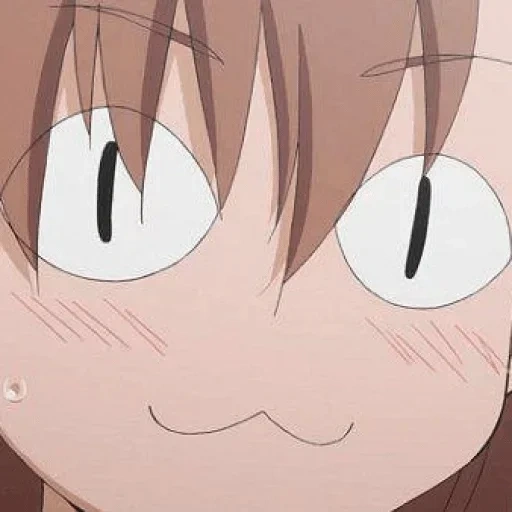 anime face, dummes gesicht, miko misaka, anime überraschung, anime von mizaka mizaka