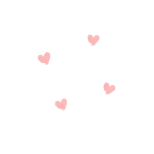 heart pink, pink petals, pale pink heart, heart gauge with white background, translucent center and transparent bottom
