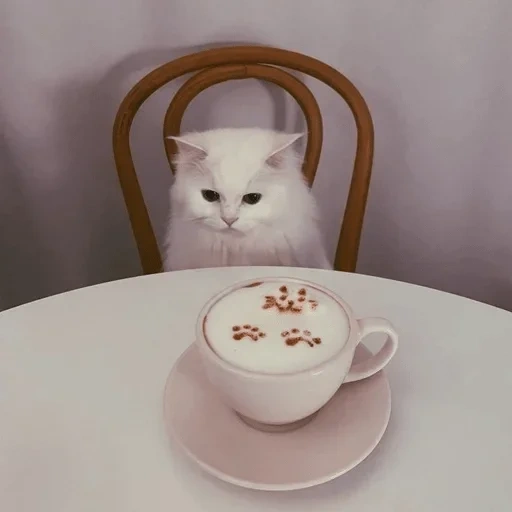 кот кофе, кот утром, котик утро, утренний кот, милые котики
