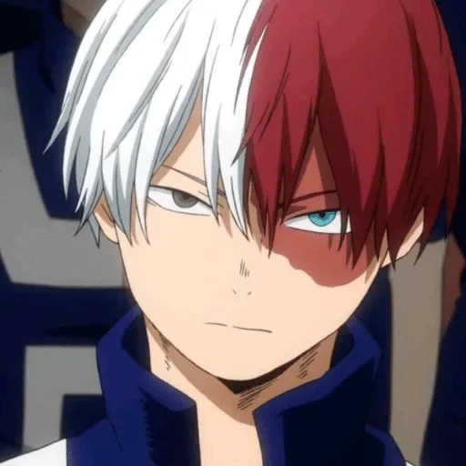 тодороки, todoroki, рей тодороки, тодороки шото, shoto todoroki