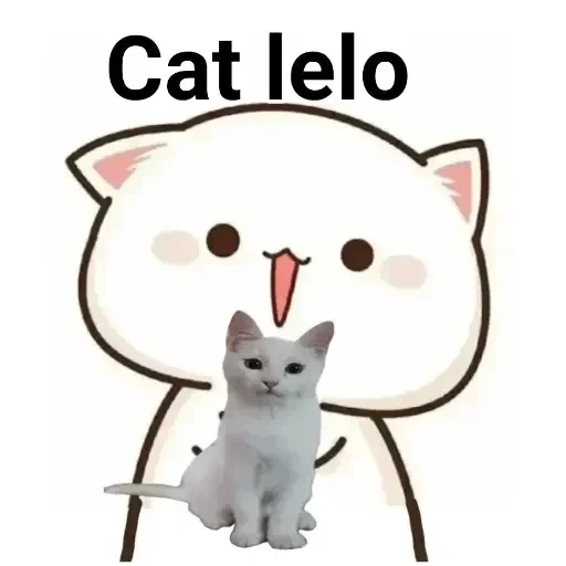 kawai seal, hewan lucu, kucing berdinding merah yang lucu, anime kucing lucu, lukisan kawai yang lucu