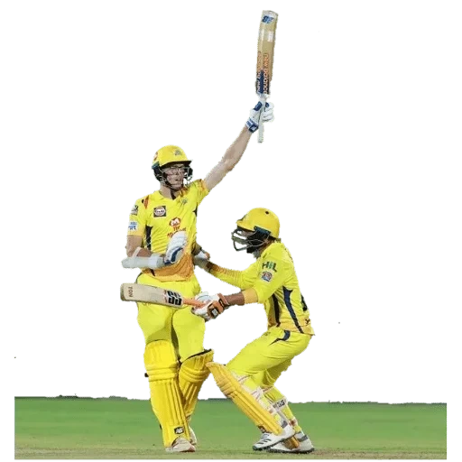 cricket, ipl ms22, best cricket, 2005 in cricket, blurred image