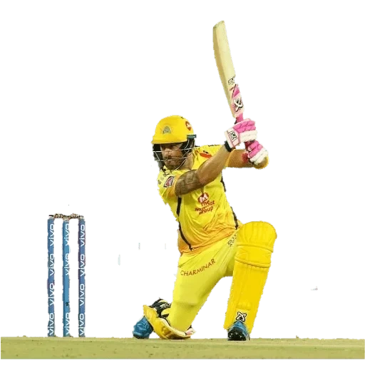 the cricket, frau dhoni, ipl cricket, cricket sixes