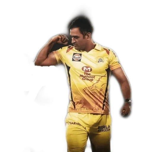 dhoni, people, male, ms dhoni, football player