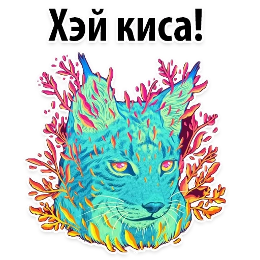 космос, кот космоса, арт животные, личного дневника космос котики