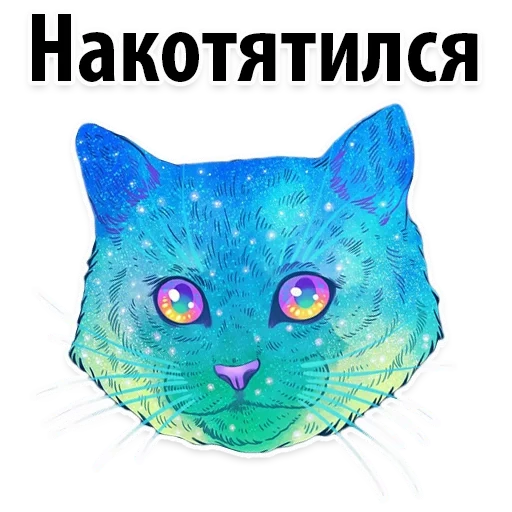 кот, кот космоса, космосом котом, космический кот