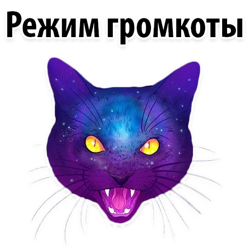 кот, кот фиолетовый, jen bartel коты, фиолетовая кошка, мордочки фиолетовых котов