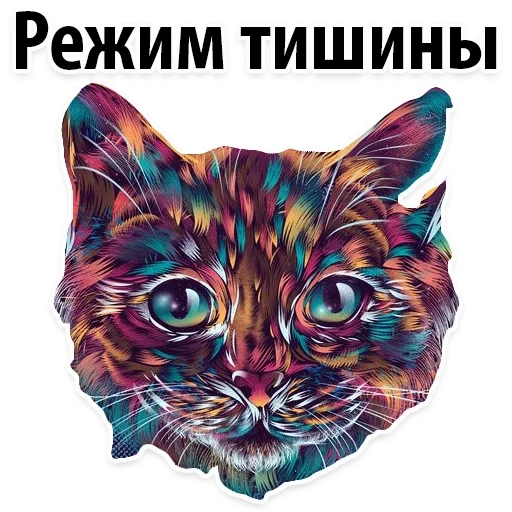 parker, cat, cat meme, cosmic cat