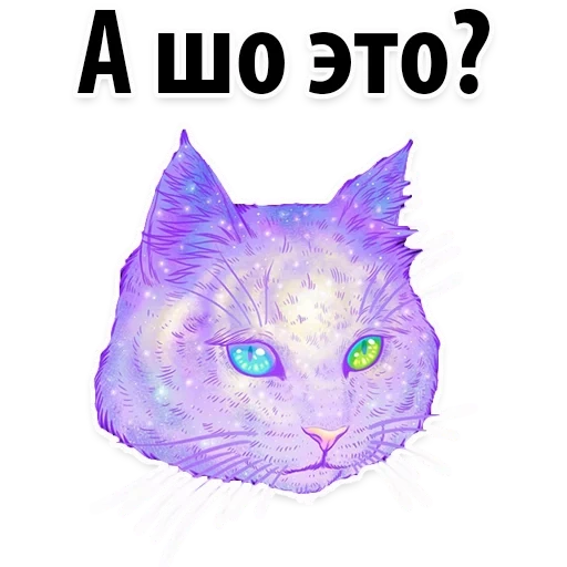kucing, cosmos cat, cosmos cat, kucing itu ungu, kucing luar angkasa