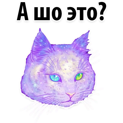 gato, gato de cosmos, gato de cosmos, el gato es morado, gatos espaciales