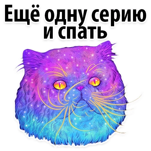 espace, cosmic cat, space cat, cosmic cat, cosmic seal