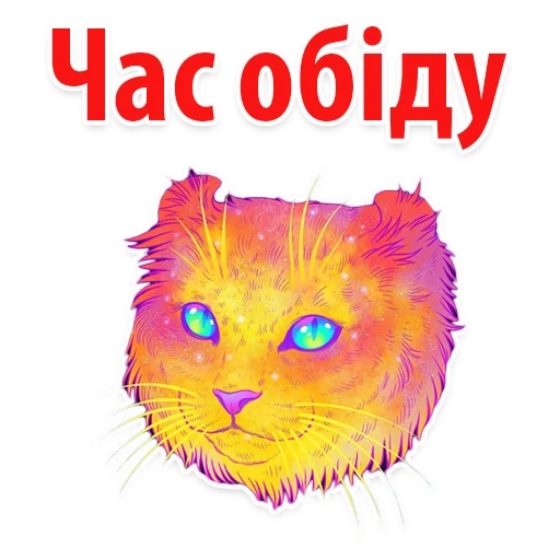 kucing, kucing pelangi, cosmos cat, anak kucing dari turistastv, space cat mordochka
