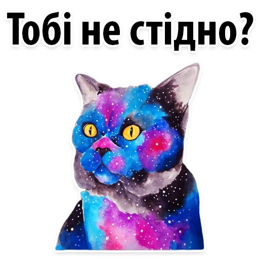 odaries à fourrure, cosmic cat, space cat, space cat, cosmic seal